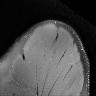 Bild 23