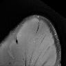 Bild 24