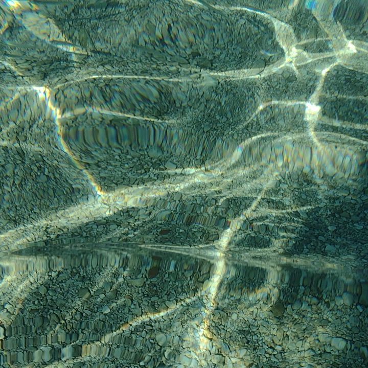 Fische in Kroatisch Meer :)